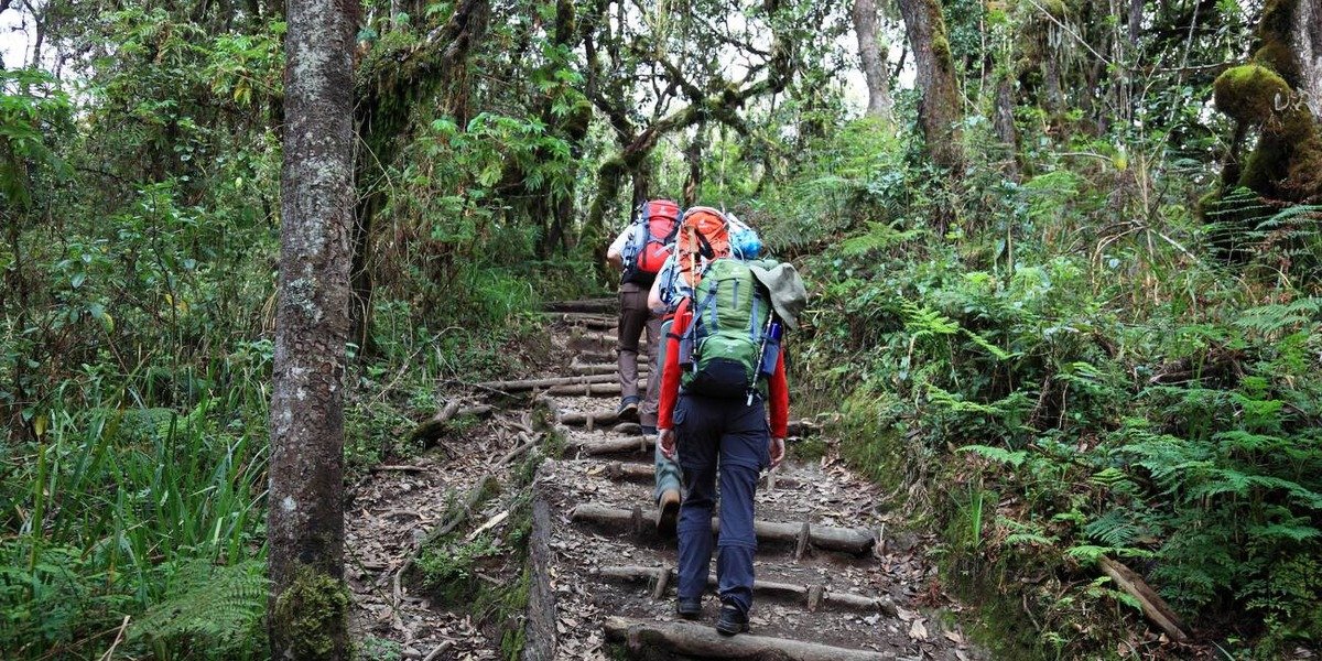 Machame Camp - Gallery Image 1