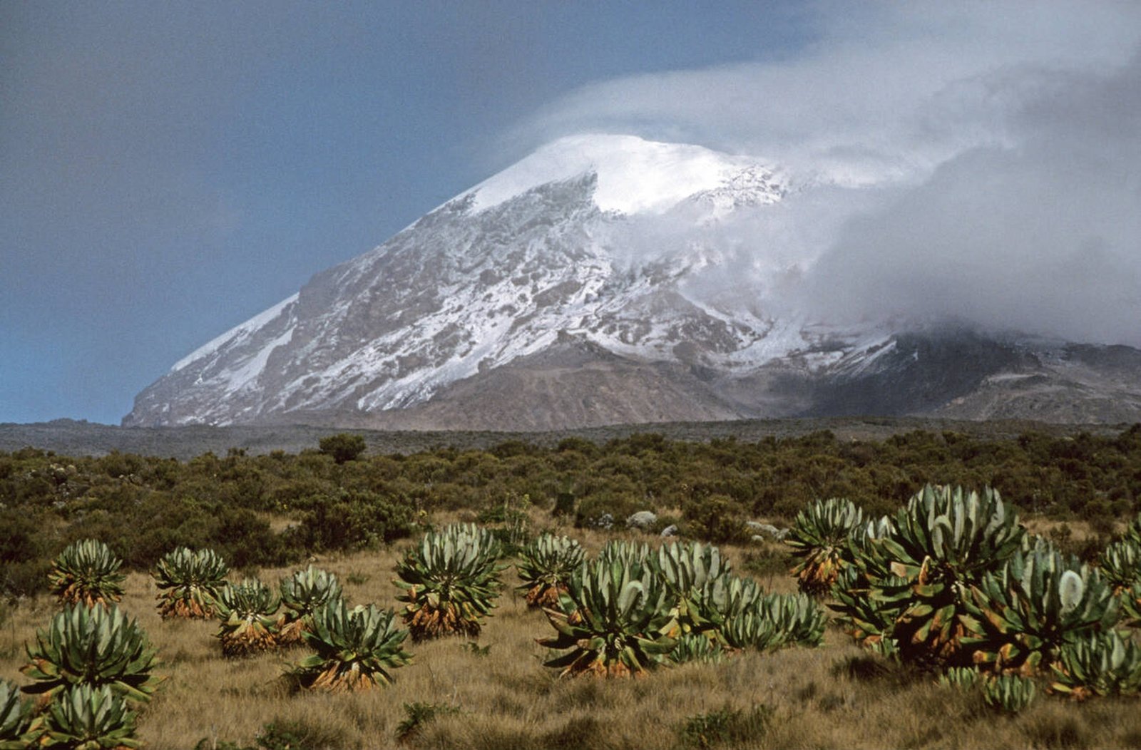 Horombo hut - Gallery Image 2