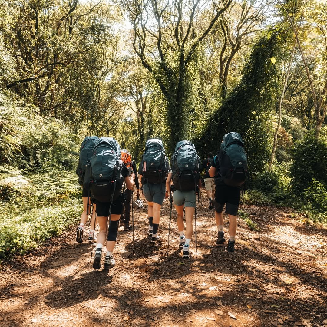 Mandara Hut - Gallery Image 1