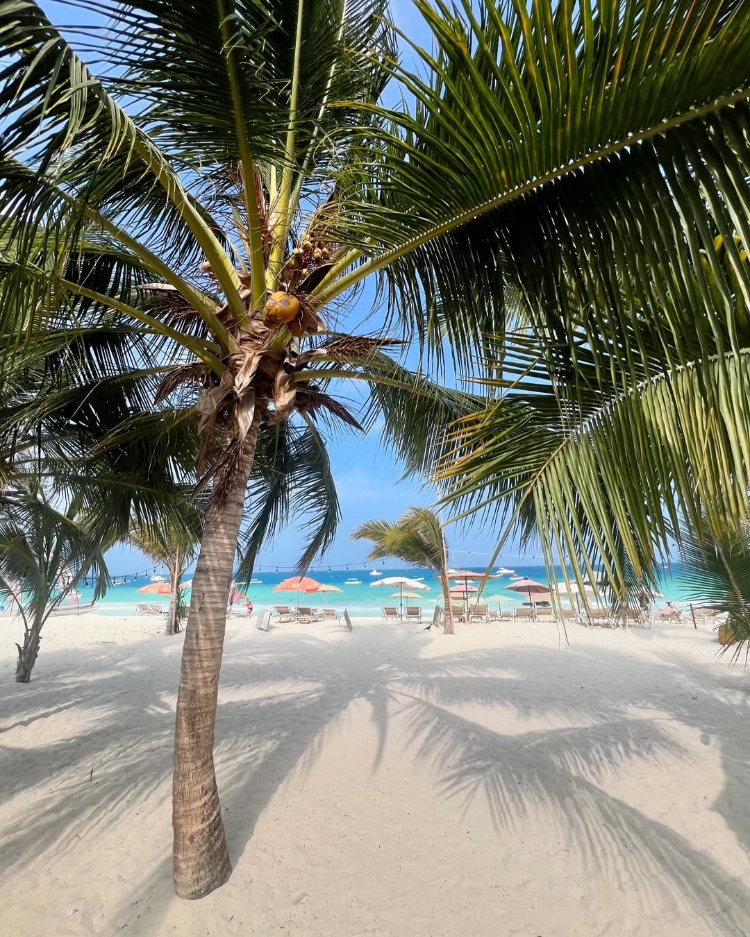 Which Tanzanian Island Should You Choose in 2026–2027?