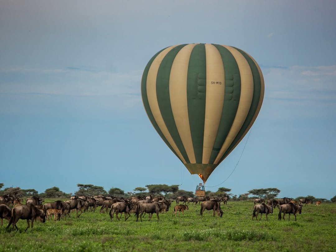 Hot Air Balloon Safari in Tanzania | A Unique Experience