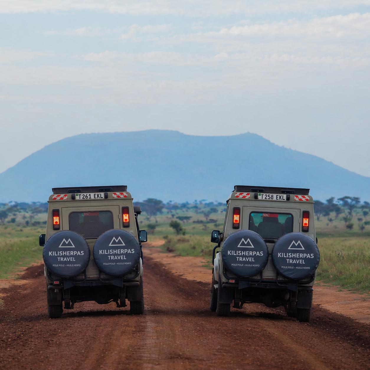 How Much Does a Safari in Tanzania Cost? Complete 2026 Guide