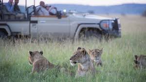 Top 10 Safari Gadgets for Tanzania 2026–2027 (Tested in the Bush!)