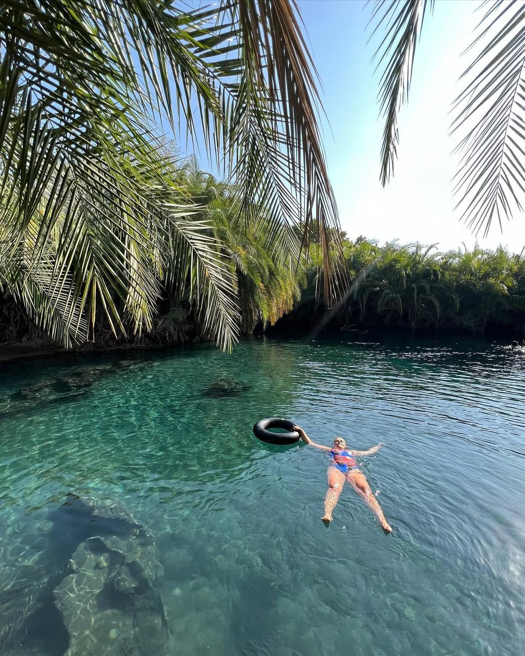 Gentle Giants: Swimming with Whale Sharks on Mafia Island, Tanzania