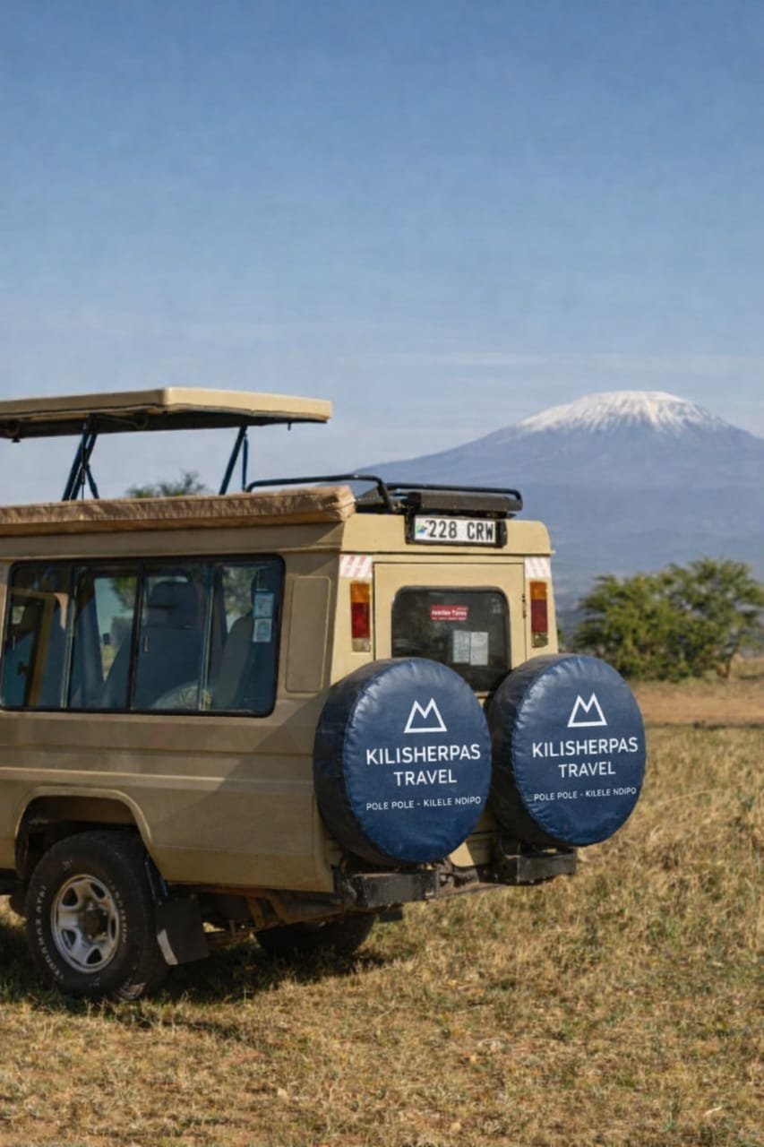 What to Pack for Your Camping Safari in Tanzania