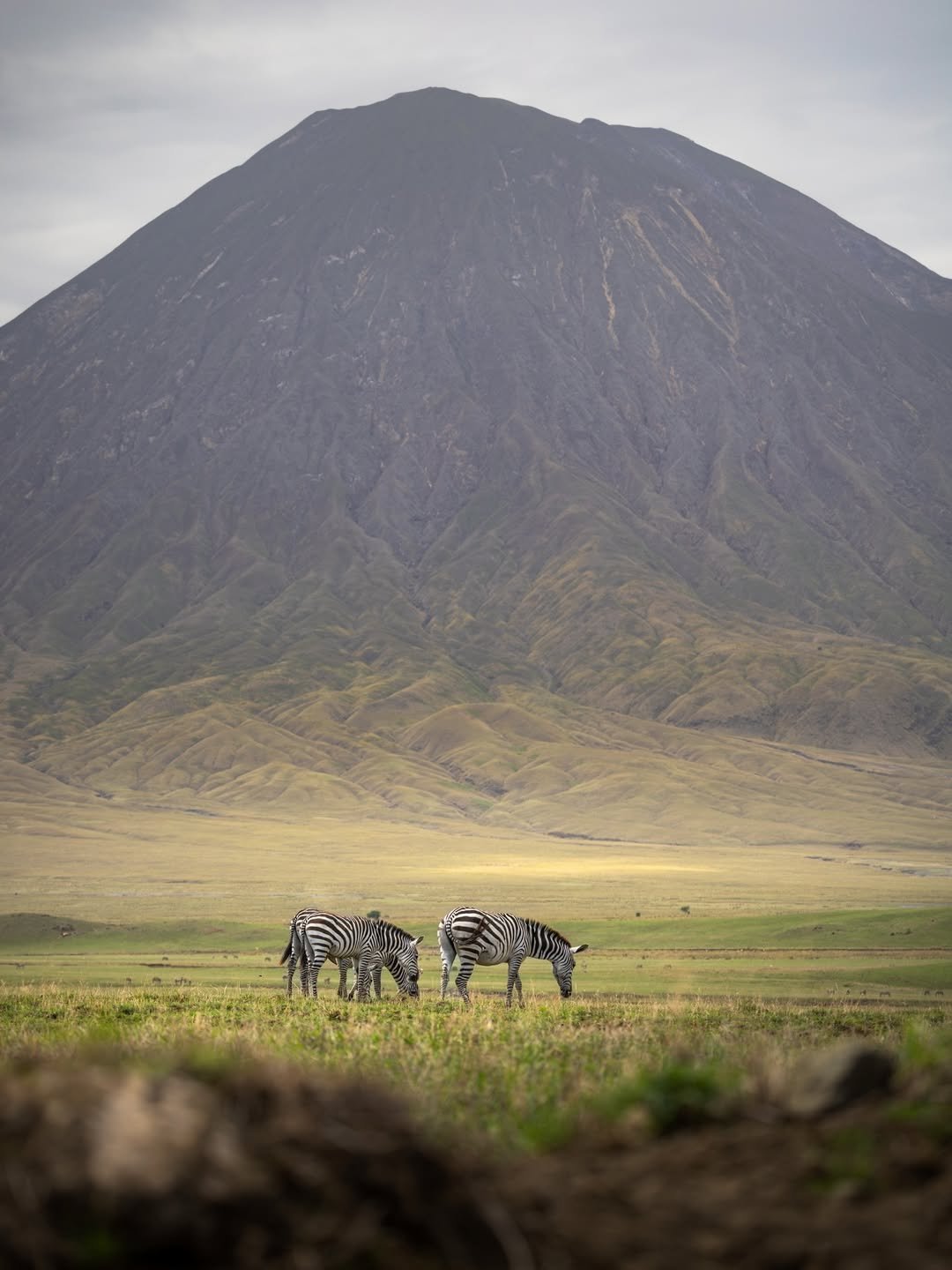 Best Festivals & Events to Experience in Tanzania