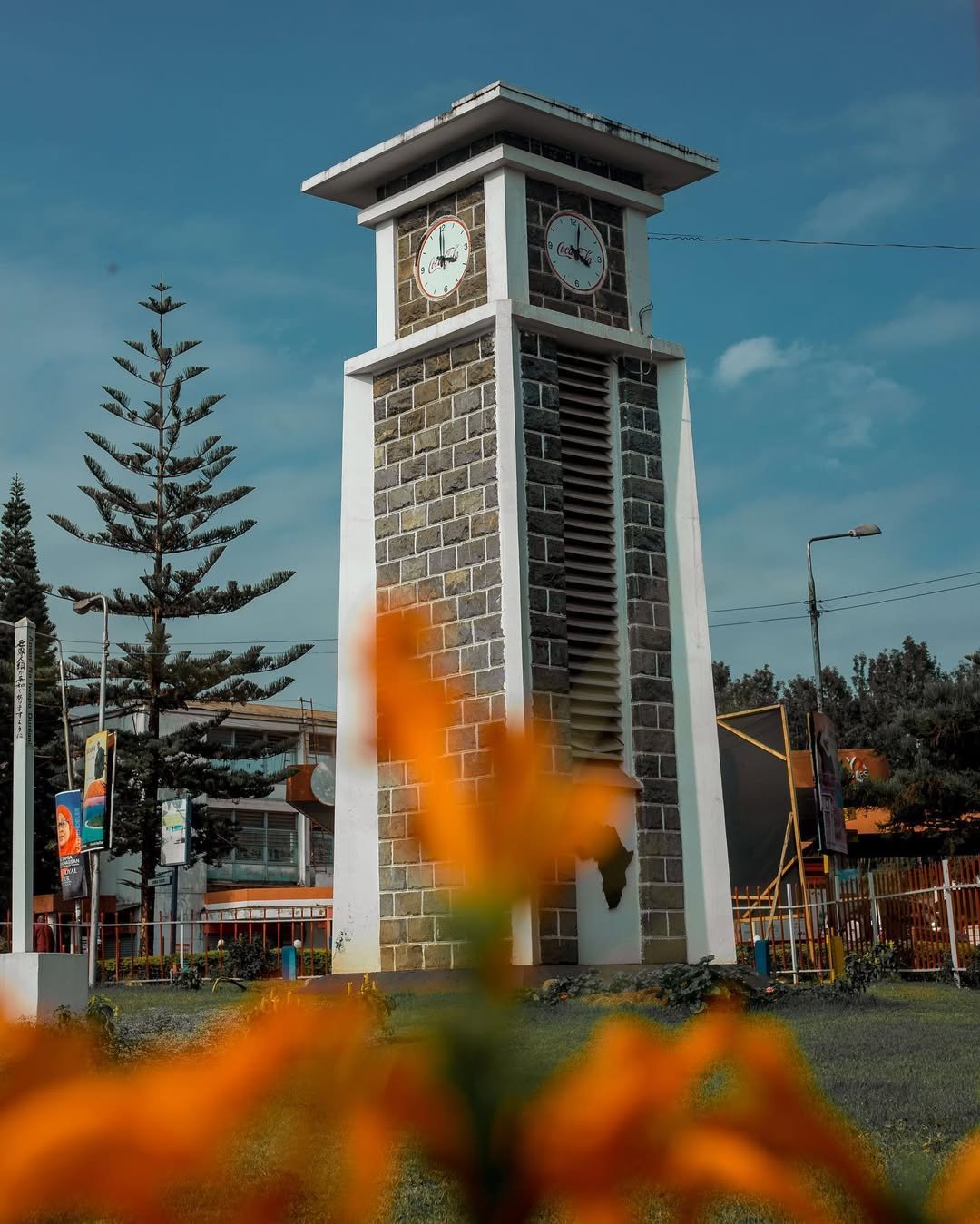 Best Camera Gear for a Tanzania Safari