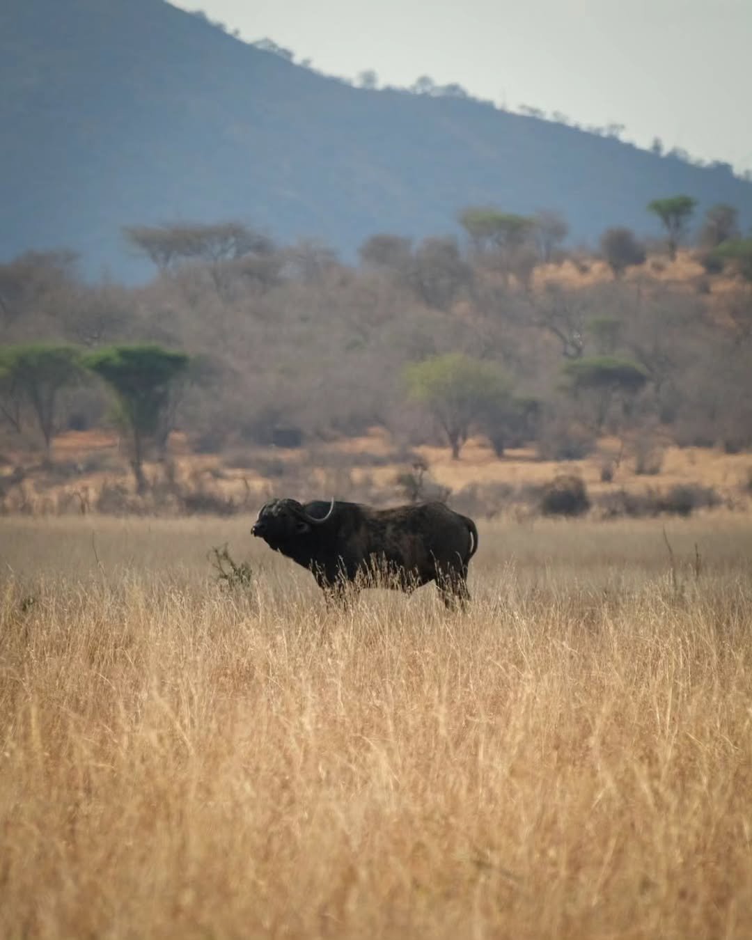 How to Take Incredible Sunrise & Sunset Photos on Safari in Tanzania