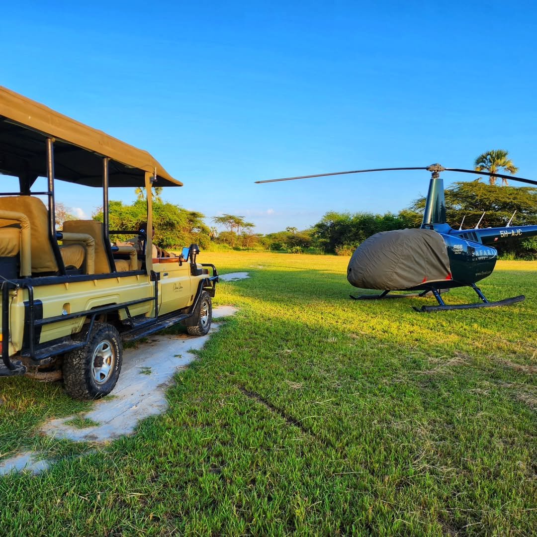 How to Film a Wildlife Documentary on Your Safari in Tanzania