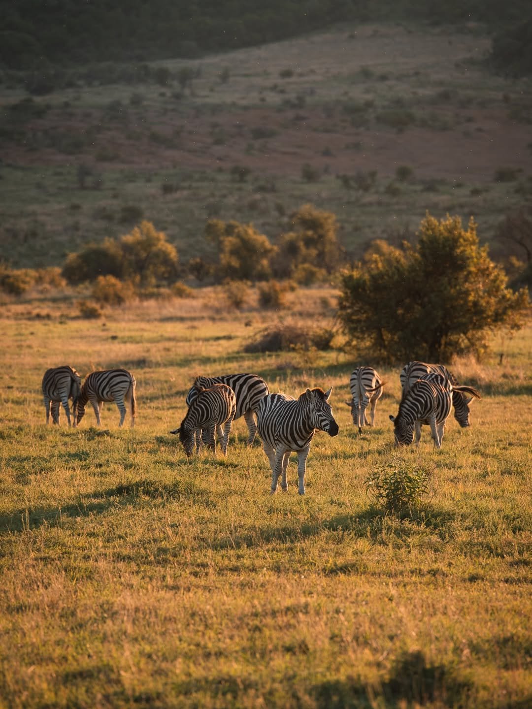 The Best Photo Spots in the Serengeti