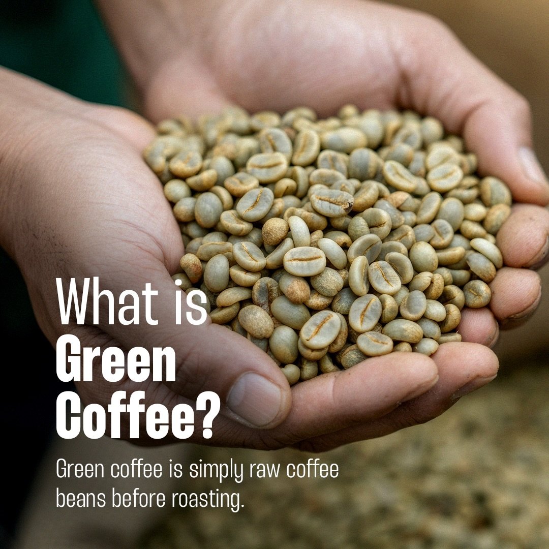 Tanzania’s Coffee Culture: A Journey from Bean to Cup