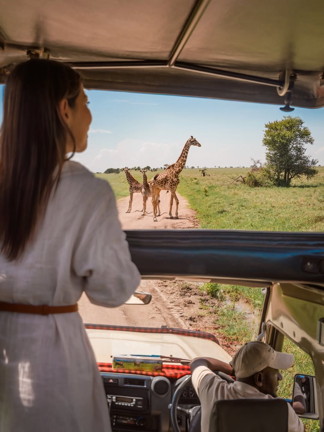 Best Time to Witness the Serengeti Wildebeest Migration 2026/2027 – Complete Guide