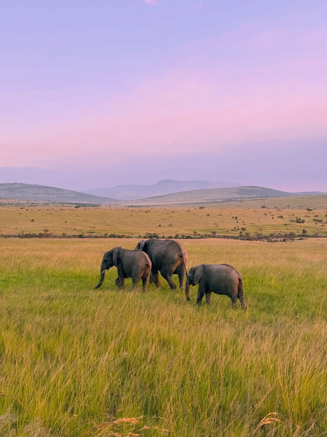 How to Plan a Perfect Tanzania Vacation 2026/2027 – The Ultimate Guide
