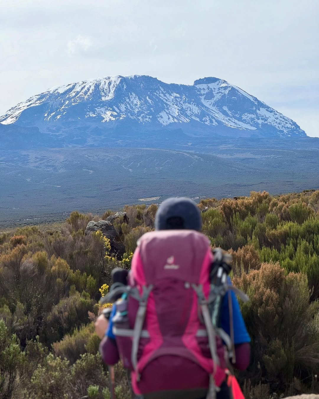 The Shira Plateau: A High-Altitude Gem on Mount Kilimanjaro