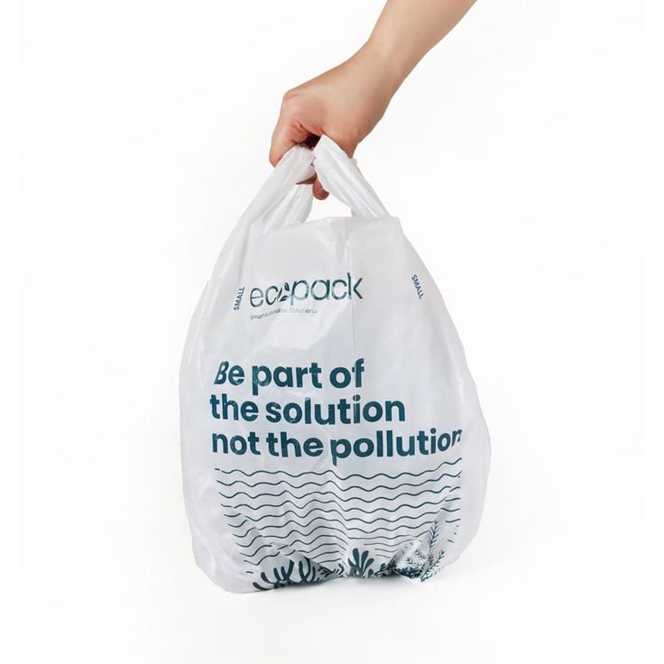 Everything You Need to Know About Tanzania’s Plastic Bag Ban in 2024