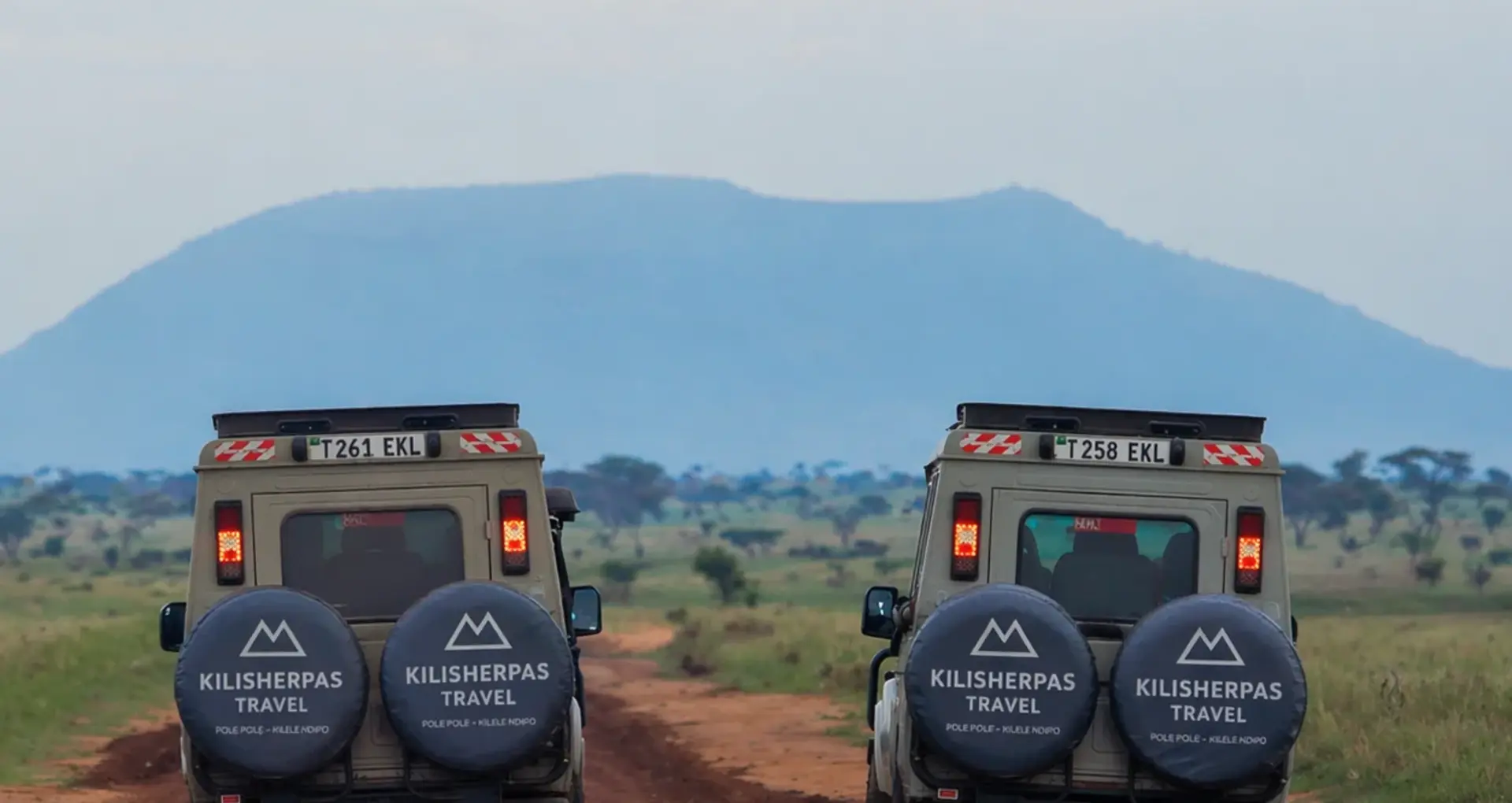 What Is a Safari? The Ultimate Guide to Africa’s Iconic Wildlife Experience