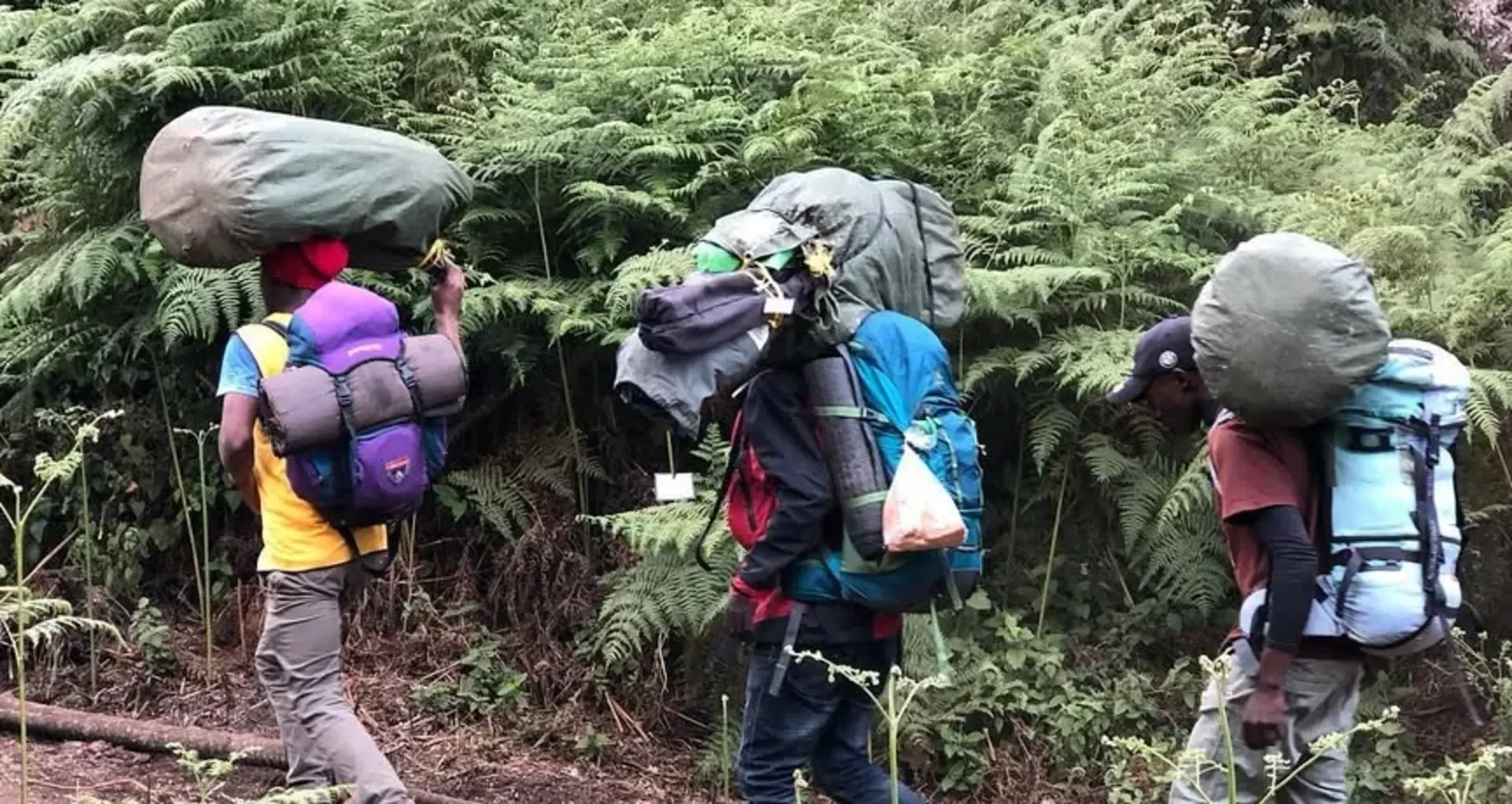 Ethical Kilimanjaro Climbing: How to Summit Without Exploiting Porters