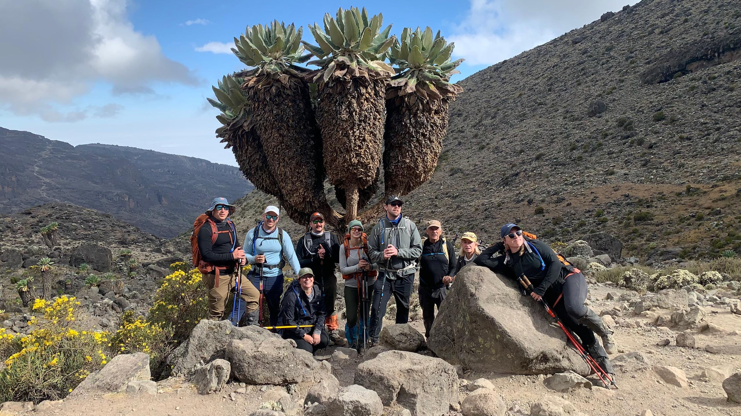 Top 5 Reasons to Choose the 8-Day Lemosho Route on Kilimanjaro