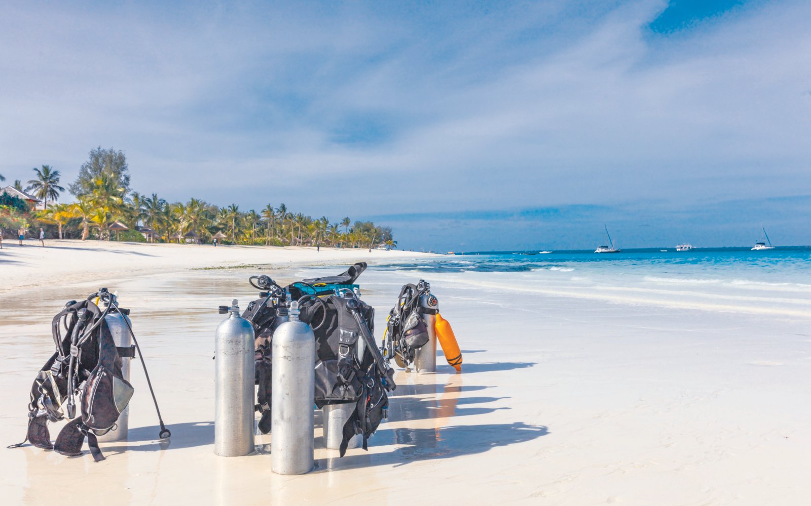 The Best Diving Sites in Tanzania: A Guide to Underwater Wonders
