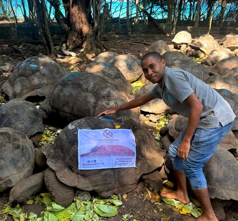 What to take for a beach vacation in Tanzania?