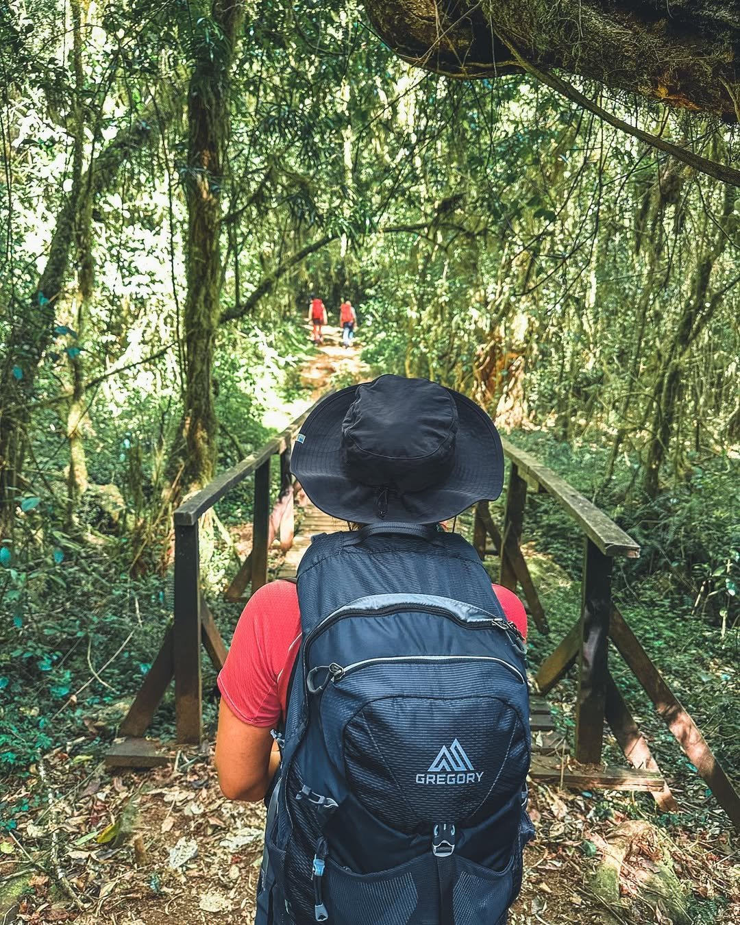 Mount Kilimanjaro Day Hike
