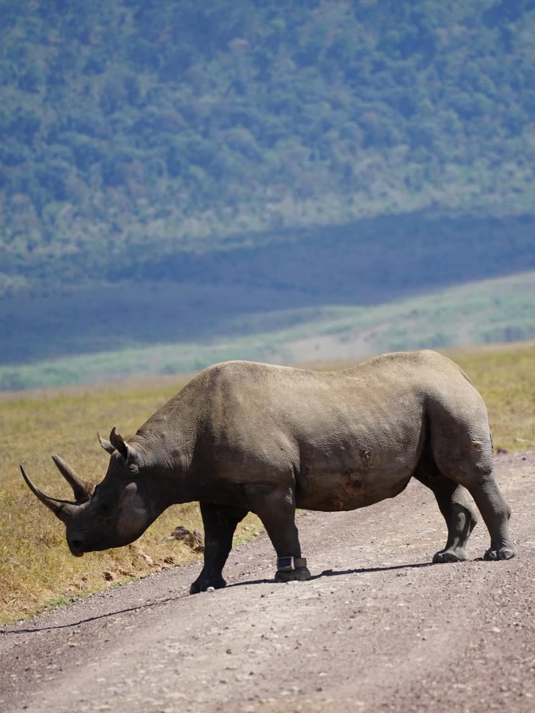 Ngorongoro Conservation Area