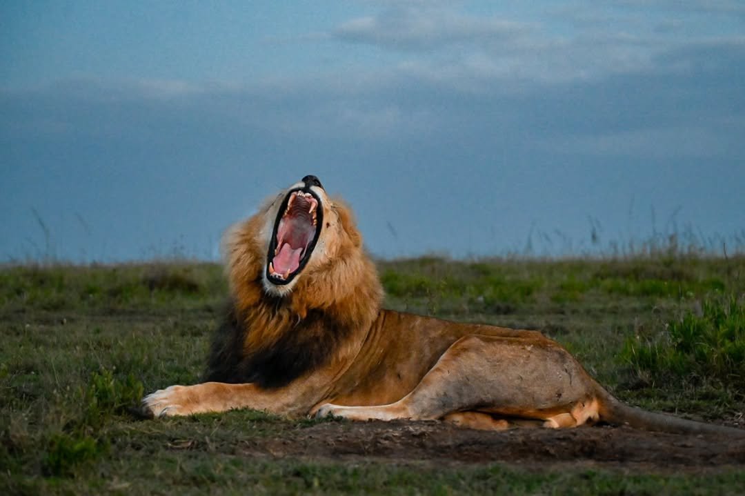 Serengeti National Park