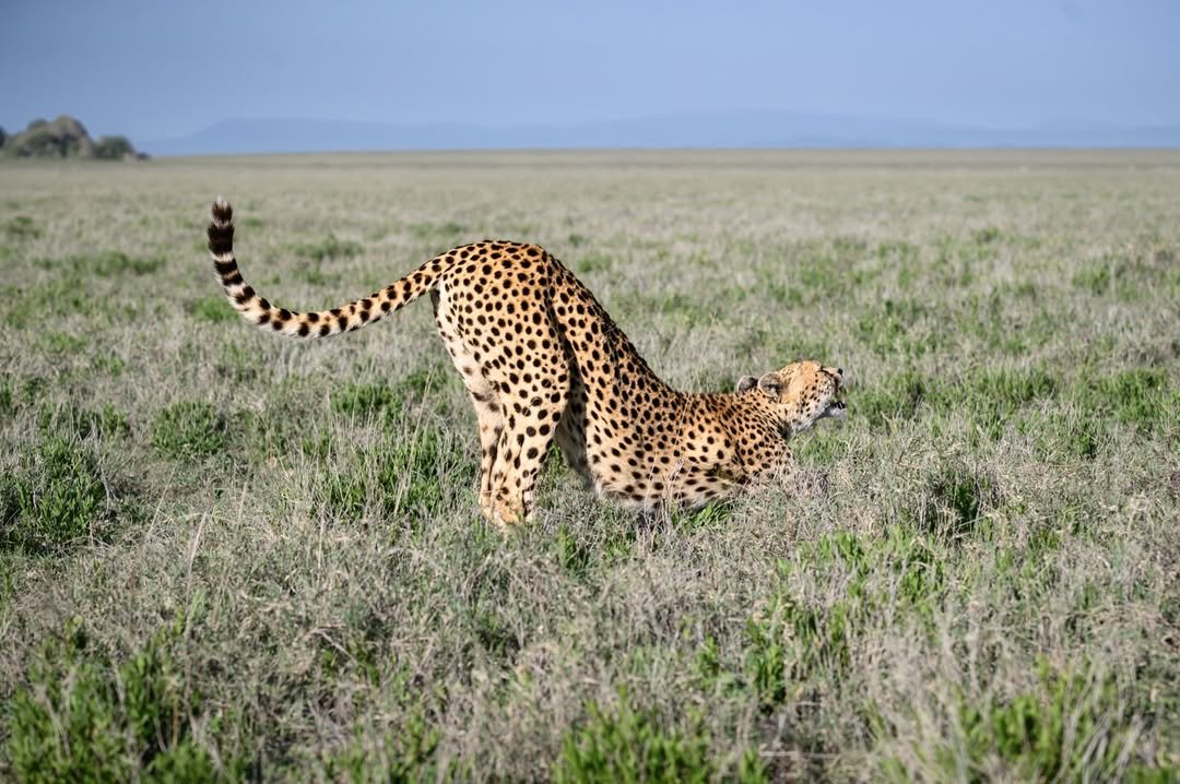 Serengeti National Park