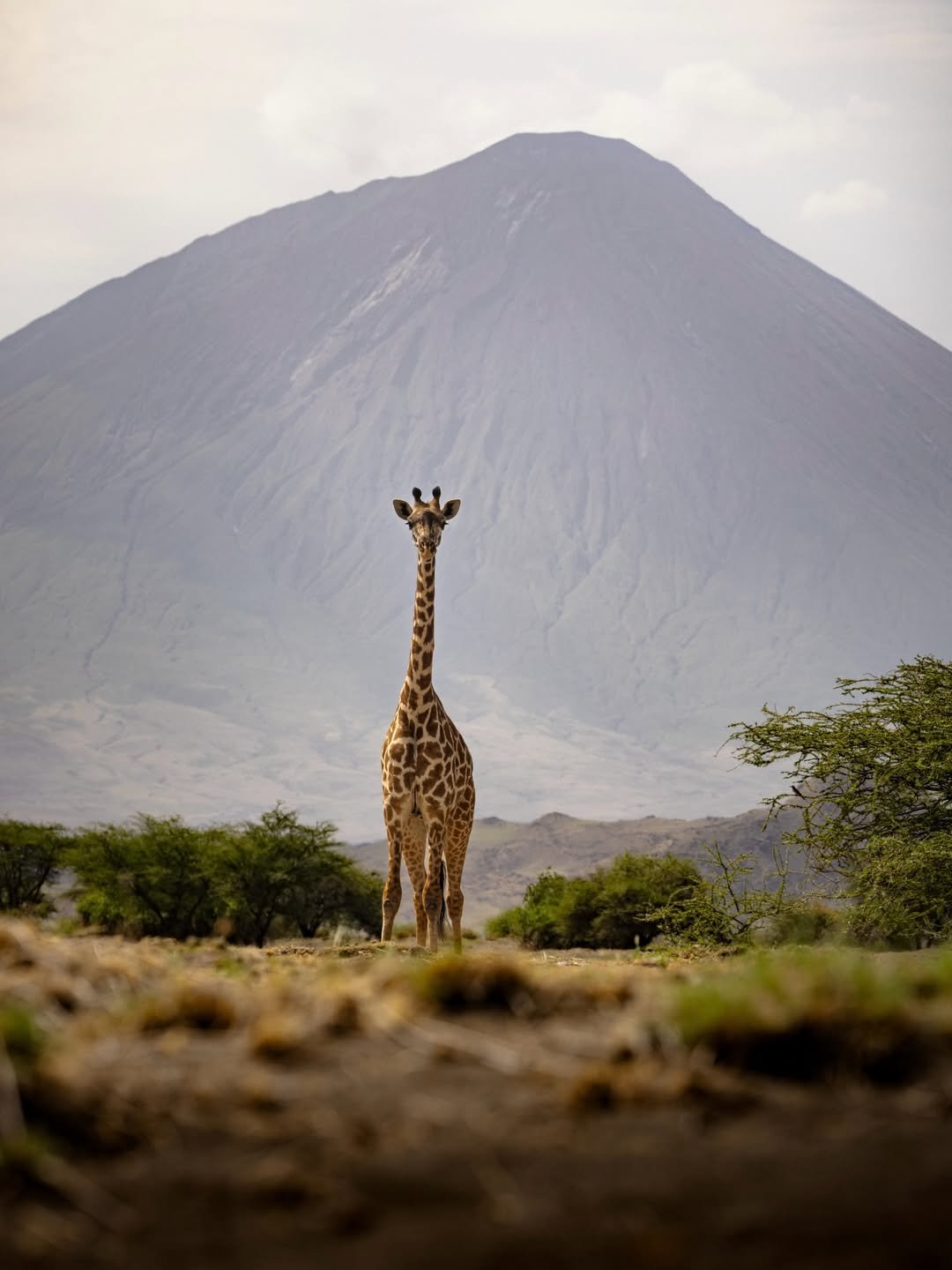 Mount Meru & Other Hikes 