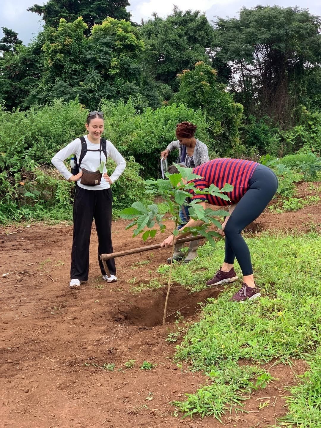 Social & Environmental Initiatives