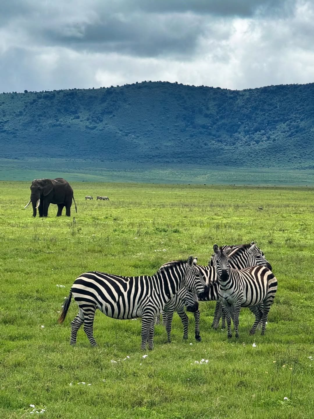 Ngorongoro 2-Day Trip: Sunrise on the Rim