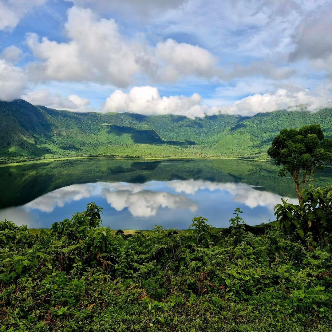 Crater World: Ngorongoro, Empakaai and Crater Floor Safari