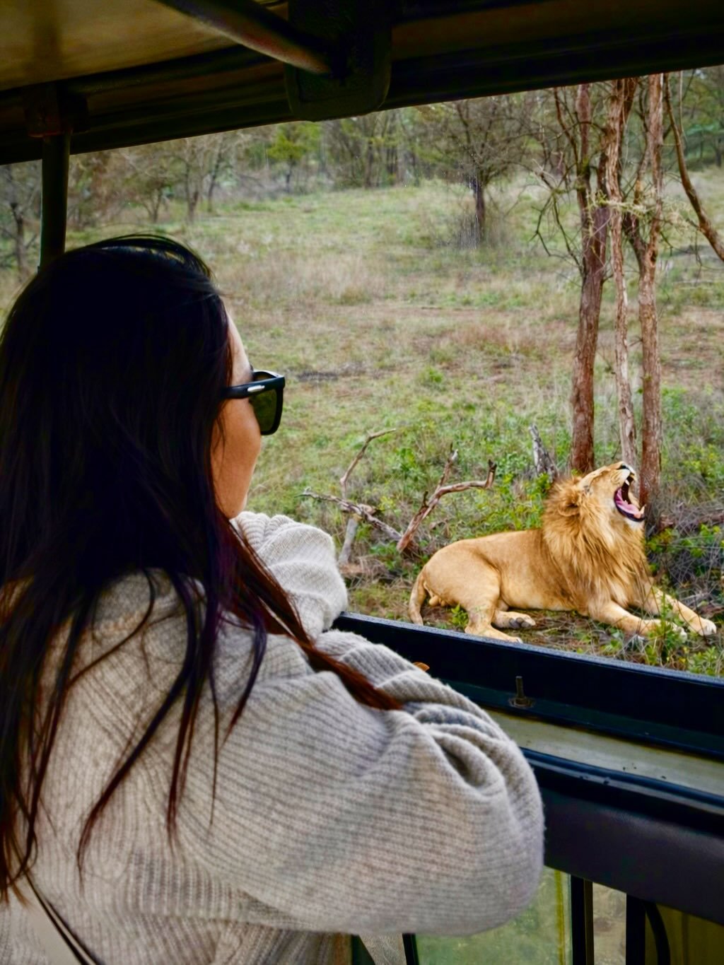 Classic Safari to Manyara, Ngorongoro & Serengeti