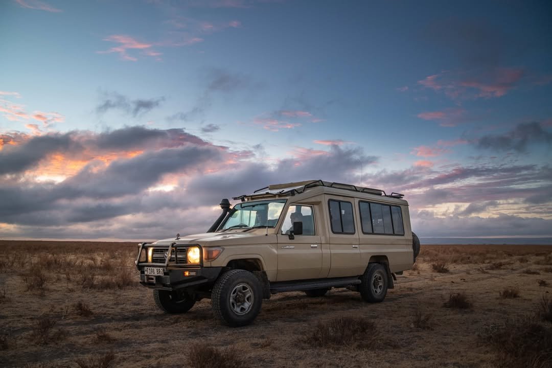3-Day Tarangire & Ngorongoro (Comfort)