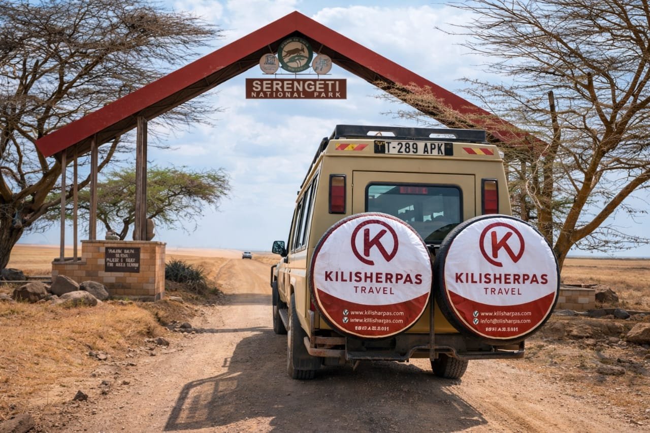 Discover the Magic of Serengeti