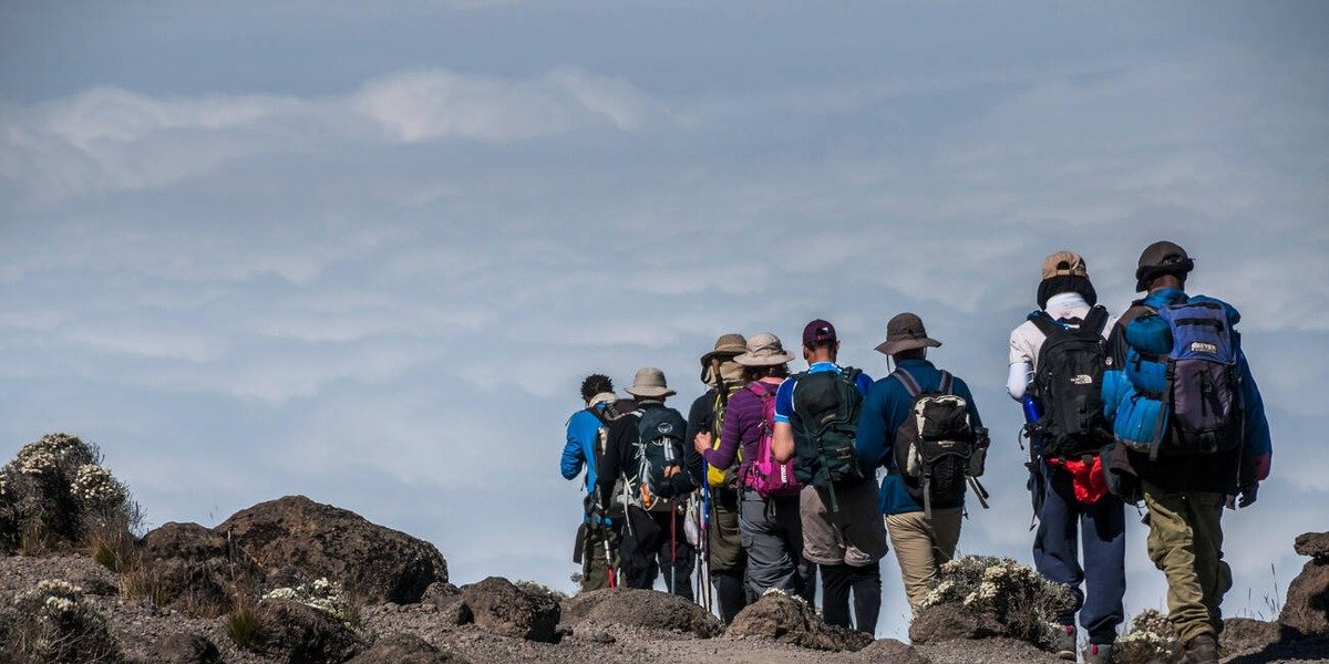 Moir Huts - Gallery Image 1