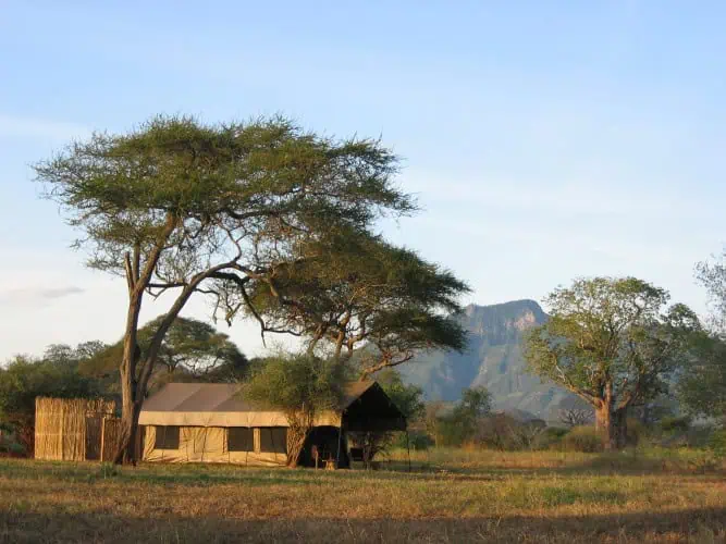 Bab's Camp Mkomazi - Gallery Image 2