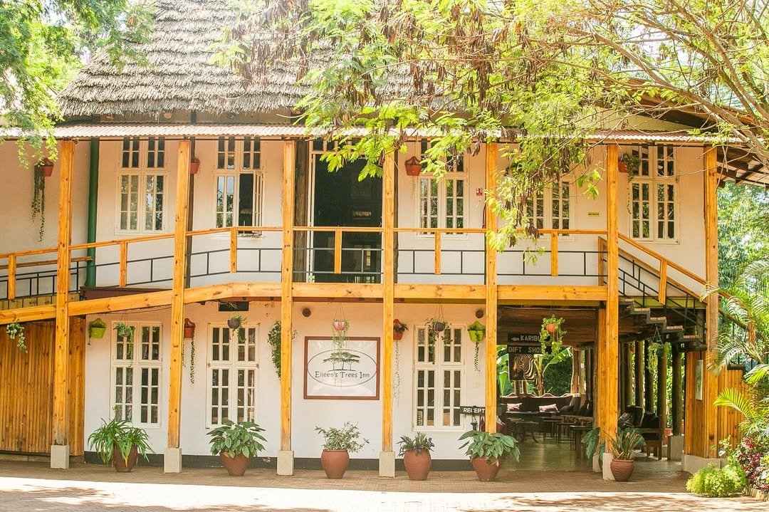 Eileen's Trees Inn - Gallery Image 2