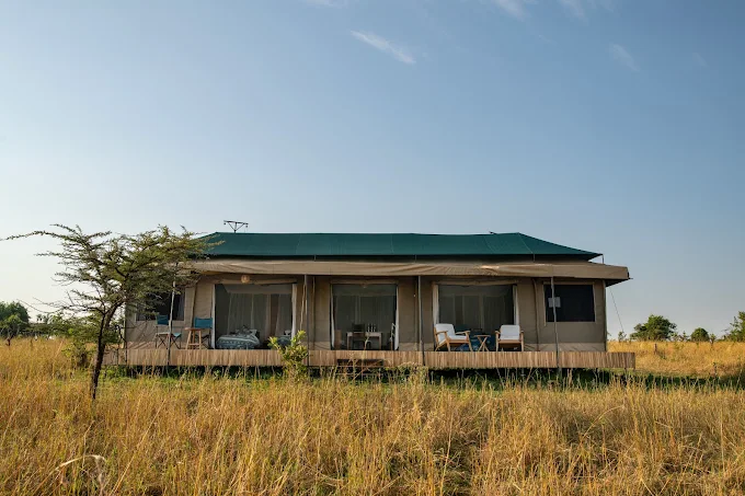 Nyikani Migration Camp (Ndutu) - Gallery Image 1