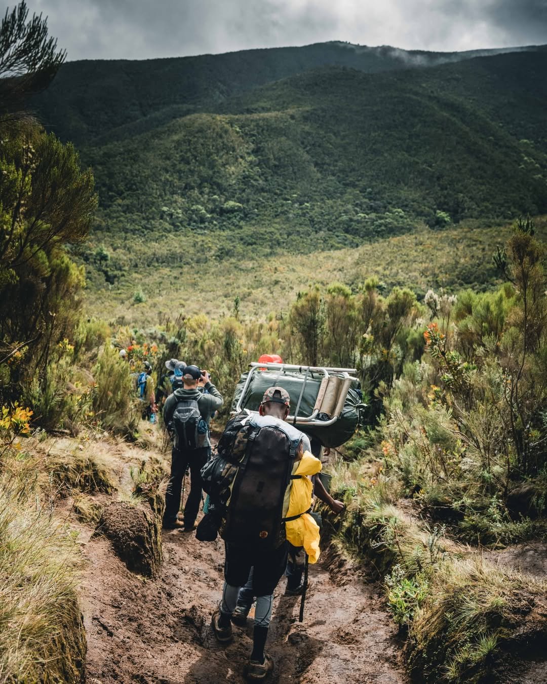 Shira 1 Camp - Gallery Image 1