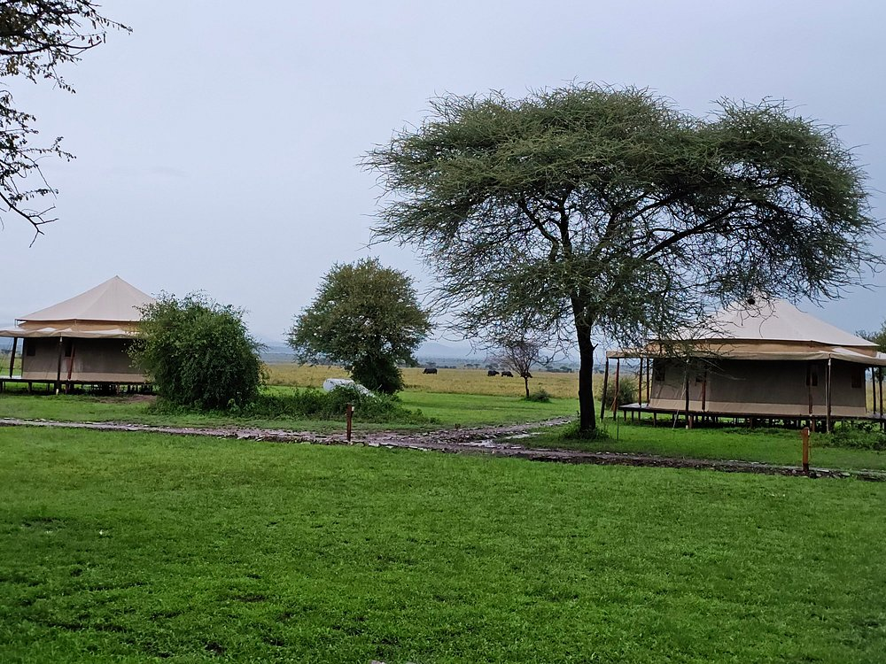 Sound of Silence - Serengeti – lodge accommodation in Ngorongoro Conservation Area, Tanzania