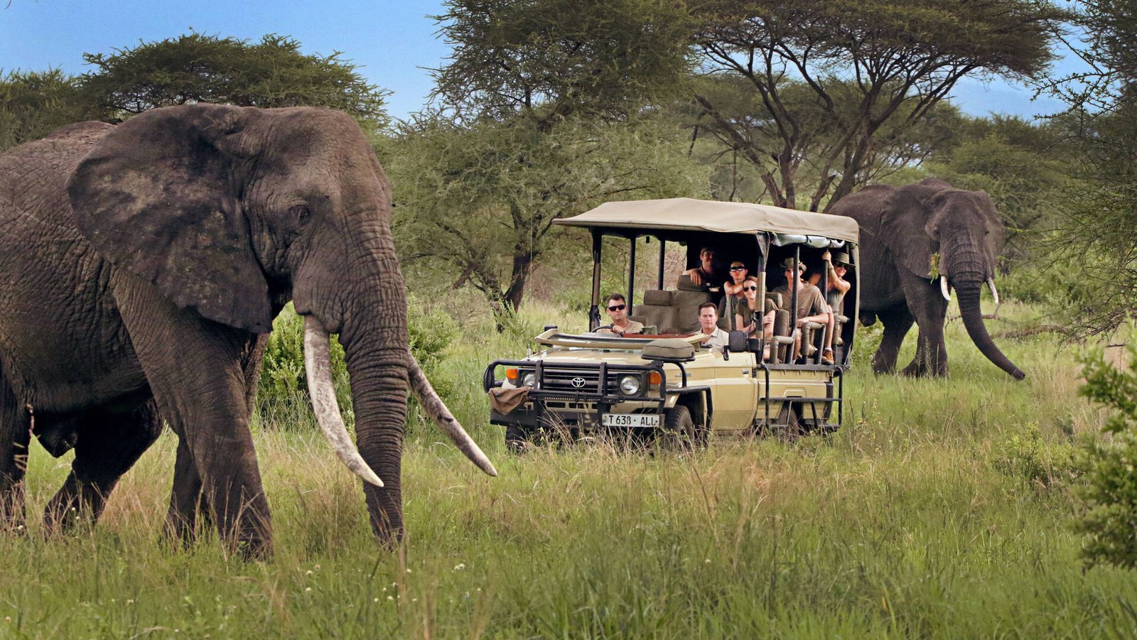 When Is the Best Time for a Safari in Tanzania? (2026 Guide)