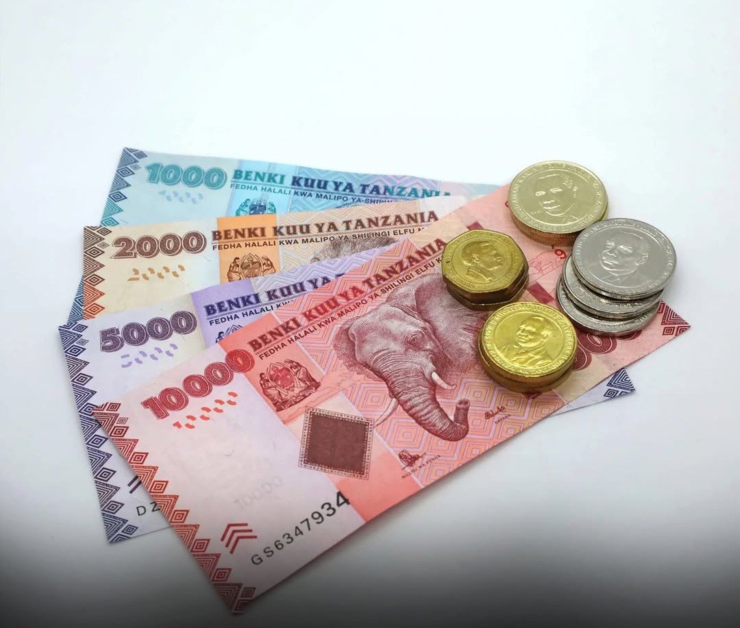 Foreign Currency Payments Banned in Tanzania: What Travelers Need to Know (2026)