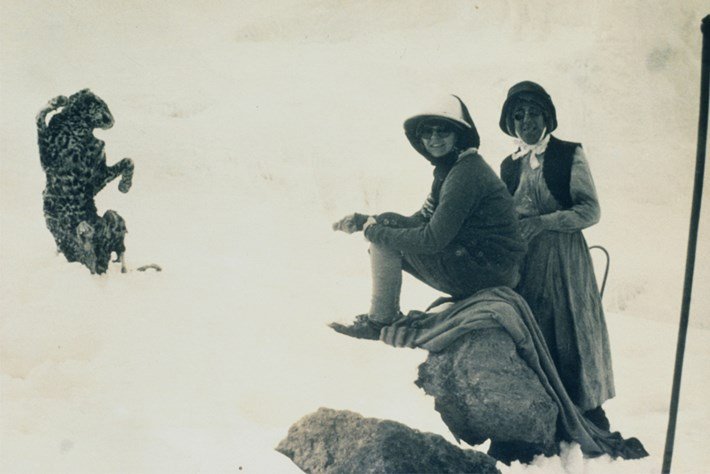 The Amazing True Story of the Kilimanjaro Leopard: Fact, Myth, and Mystery