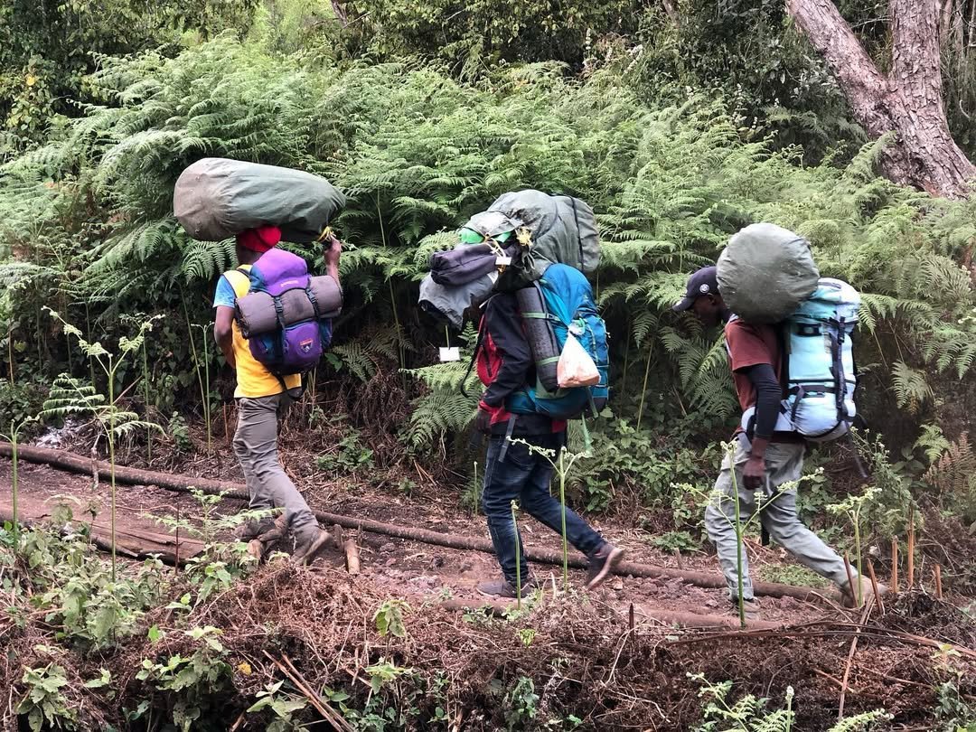 Ethical Kilimanjaro Climbing: How to Summit Without Exploiting Porters