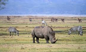 Nearby Ngorongoro Conservation Area