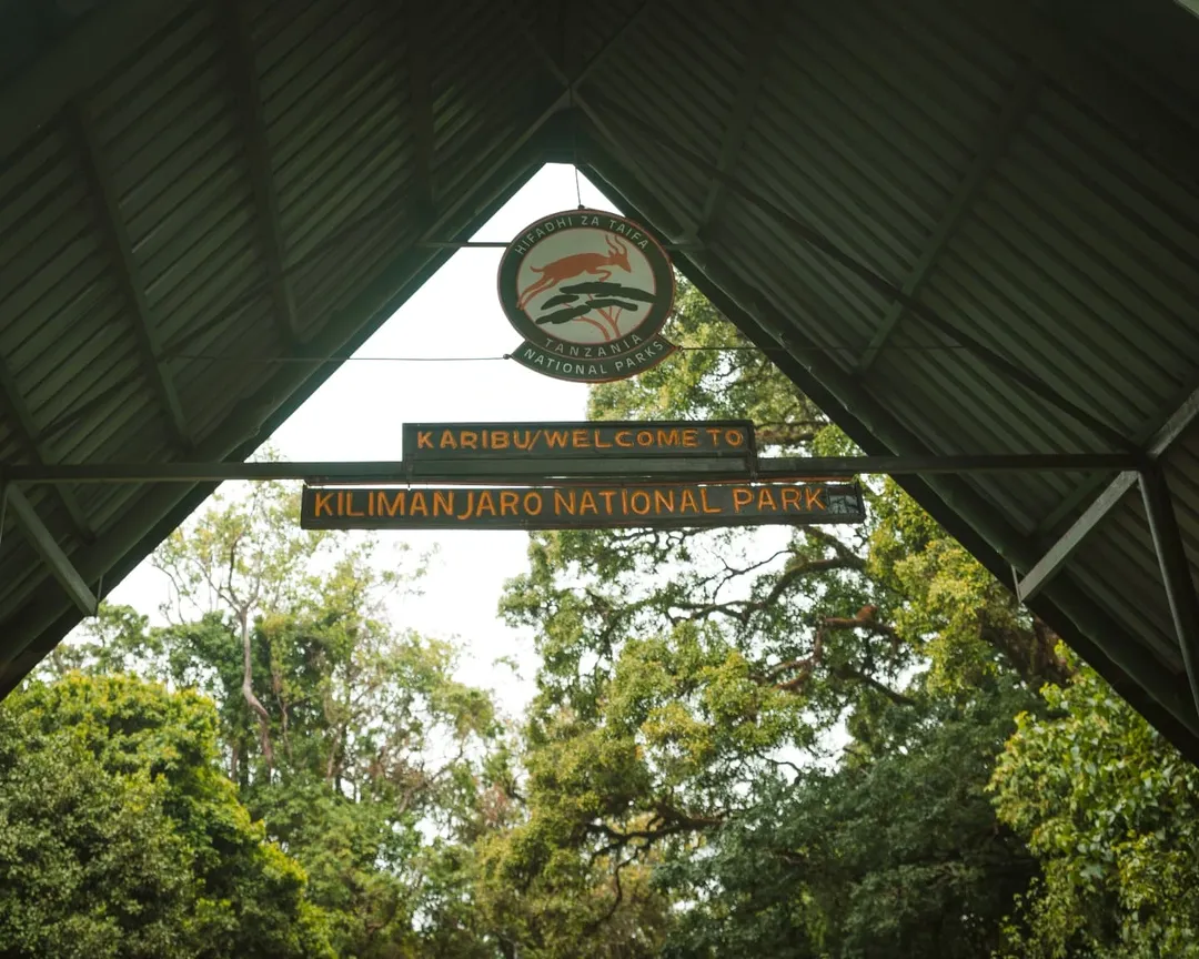 Kilimanjaro National Park