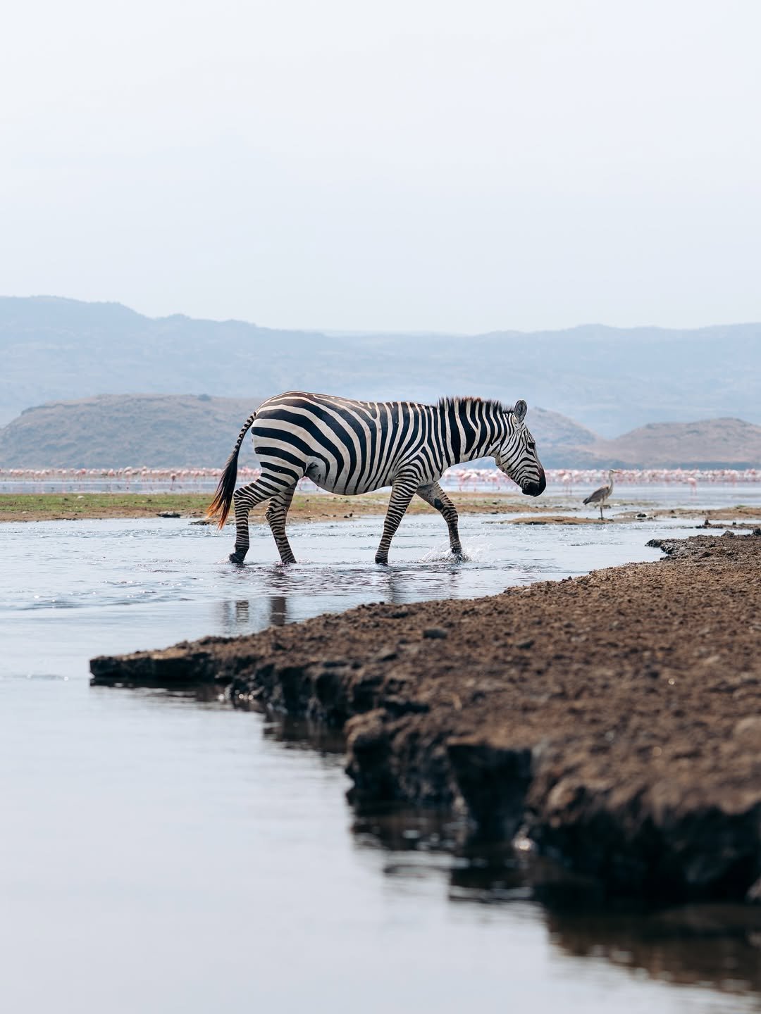 Ngorongoro Conservation Area