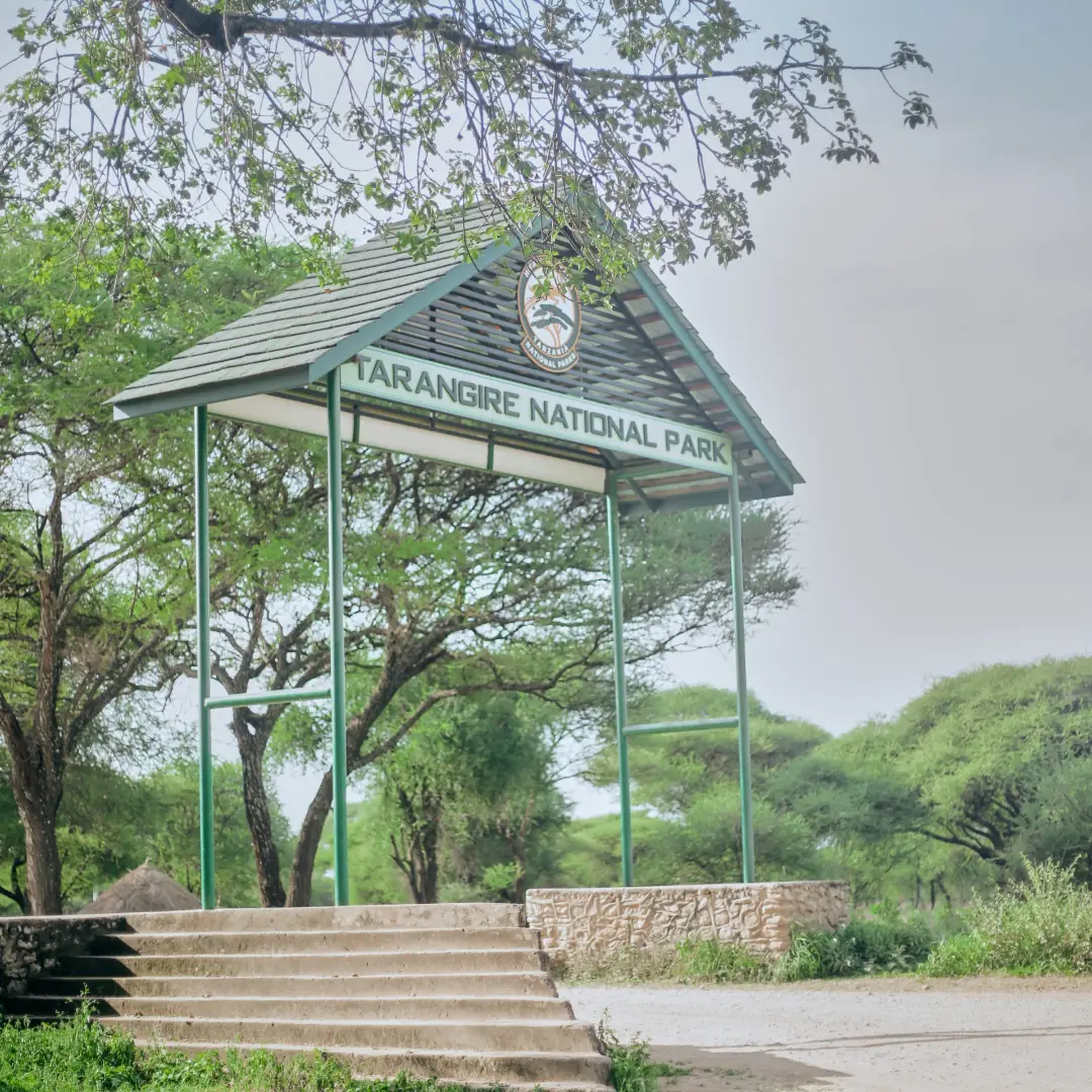 Tarangire National Park