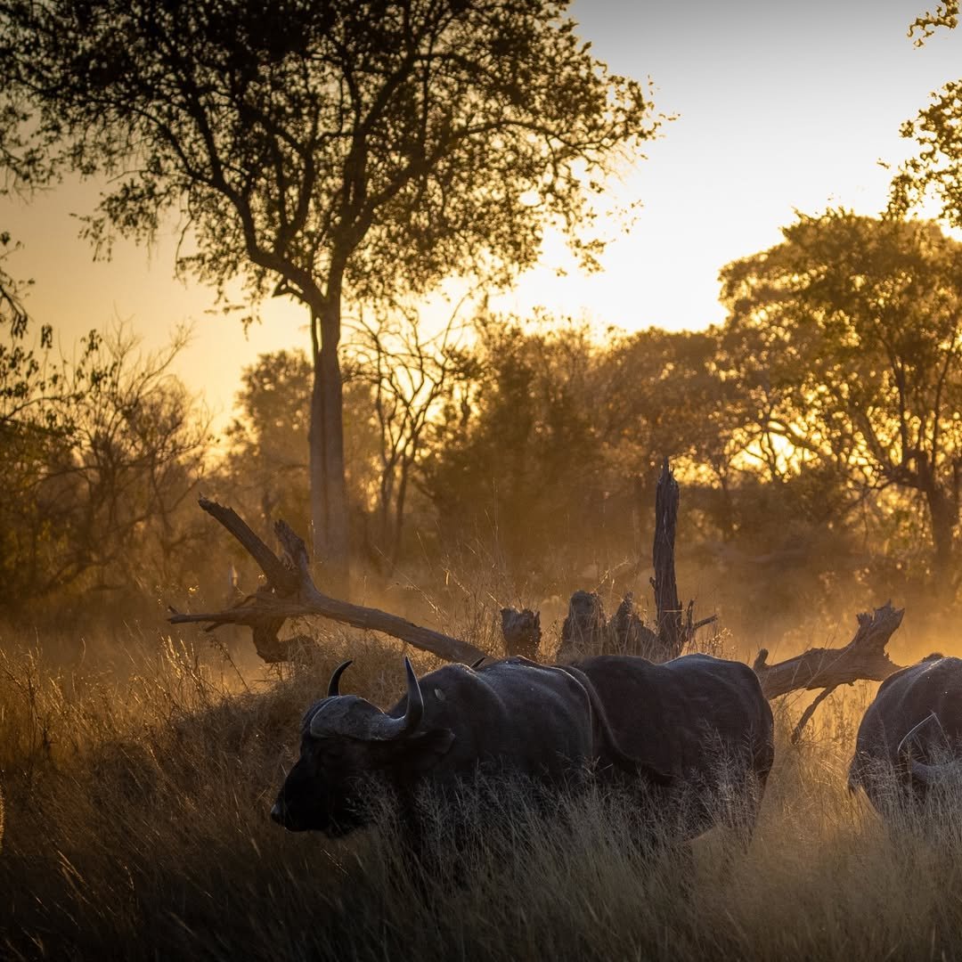 2 Days Private Tanzania Safari: Tarangire and Ngorongoro - Image 6